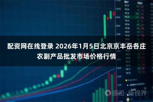 配资网在线登录 2026年1月5日北京京丰岳各庄农副产品批发市场价格行情